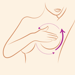 schémas massage des seins octobre rose schémas massage poitrine-octobre rose-massageetplénitude